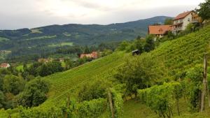Příroda nedaleko penzionu – hostince