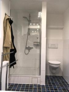 a bathroom with a shower and a toilet at Ferienhaus Atelier am Südhang in Worpswede