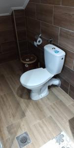 a bathroom with a white toilet in a room at Apartman Đoković in Višegrad