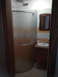 a bathroom with a shower and a sink at Dvůr v Borovné in Borovná