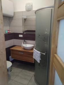 a small bathroom with a sink and a toilet at Dvůr v Borovné in Borovná