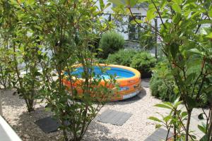 Bazén v ubytovaní Apartment Lavanda Ruzmarin alebo v jeho blízkosti