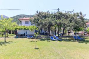 a group of blue chairs in a yard with trees at Studios Avra in Skala Rachoniou