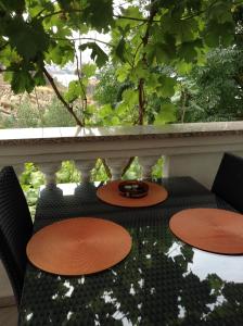Zahrada ubytování Apartments Edina