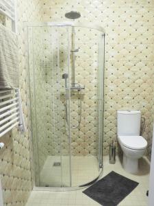 a shower in a bathroom with a toilet at Emi apartment in Vilnius