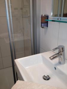 a bathroom with a sink and a shower at Hotel Freihof Swiss Lodge in Unterägeri