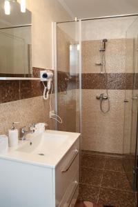 a bathroom with a sink and a shower at Oli House in Alba Iulia