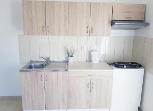 a small kitchen with wooden cabinets and a sink at Apartman La Martina in Vráble