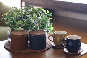 晴家(HALELUYA) Guest House في فوجيكاواجوتشيكو: ثلاثة أكواب قهوة وزرع الفخار على الطاولة