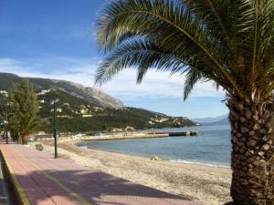 a palm tree sitting on a beach next to the ocean at Gorgona apartments & studios in Ipsos