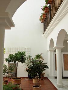 a courtyard with potted plants in a building at Casa Atlantica in Rota