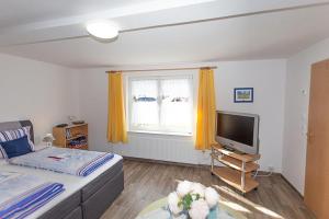 a bedroom with a bed and a tv and a window at Zum Lachsfischer in Schaprode