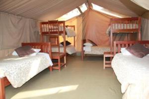 um quarto com uma tenda com duas camas e prateleiras em Wildebeest Eco Camp em Nairobi