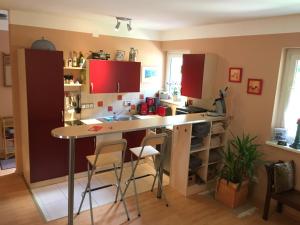 Kuchyň nebo kuchyňský kout v ubytování Seegarten Appartements