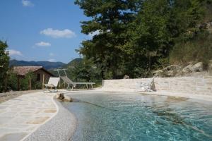 a swimming pool with a dog in the water at Frigino Agriturismo in Molino Abbadia