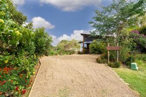 a gravel driveway in a garden with a house at Cobhearthome in Maleny