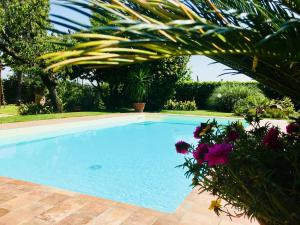 ein Swimmingpool in einem Hof mit Blumen in der Unterkunft Casa Carlotta in Rimini
