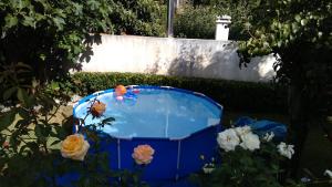 a blue hot tub in a yard with flowers at O Nosso Cantinho in Louriçal