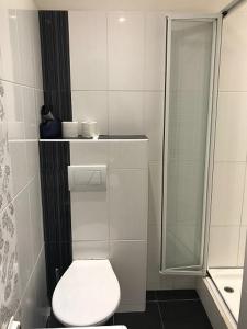 Kúpeľňa v ubytovaní Stara Louka Apartments