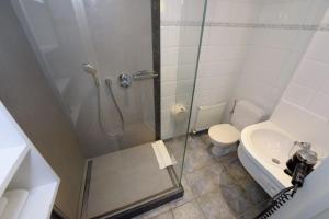 a bathroom with a shower and a toilet and a sink at Vakantiedomein Hoge Duin in Oostduinkerke