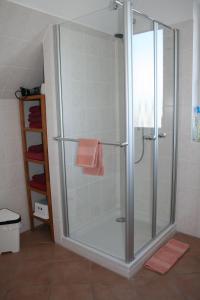 a shower with a glass door in a bathroom at Nickelshus-Whg-Lars in Sankt Peter-Ording