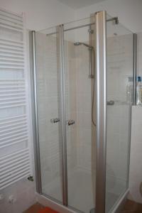 a shower with a glass door in a bathroom at Nickelshus-Whg-Birte in Sankt Peter-Ording