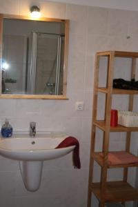 ein Badezimmer mit einem Waschbecken, einem Spiegel und einem Regal in der Unterkunft Nickelshus Whg. Robin in Sankt Peter-Ording