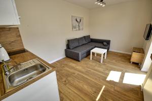 Posezení v ubytování Apartamenty Skalite Szczyrk Wellness + 75 fotografií