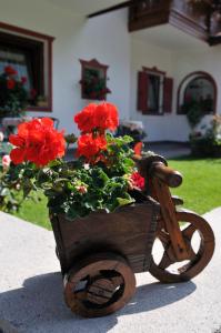 Zahrada ubytování Hotel Garni Walter