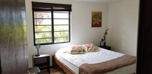 ein kleines Schlafzimmer mit einem Bett und einem Fenster in der Unterkunft Finca Cafe Bernal in Luna Park