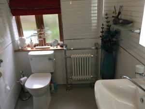 a bathroom with a toilet and a sink and a radiator at The Olive Branch at The Poplars in Kilgetty
