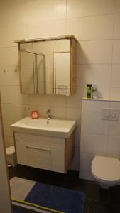 a bathroom with a sink and a mirror and a toilet at Haus Konny in Schladming +28 photos