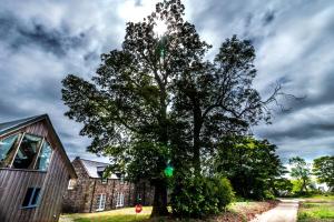 a large tree in front of a house at The Boathouse in Stonehaven