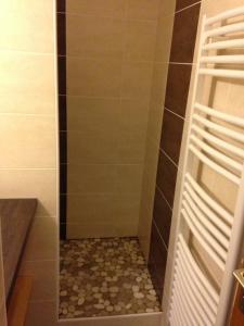 uma casa de banho com um chuveiro e piso em azulejo em L appart' du bonheur em Ancelle