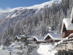 a ski lodge with snow covered trees and a mountain at Wallisblick in Blatten bei Naters