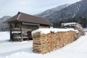 Dreiländerblick, nabij piste met sauna en tafeltennis v zime