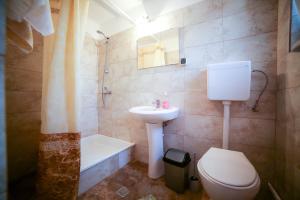 a bathroom with a toilet and a sink and a shower at Casa Dia Belis in Beliş