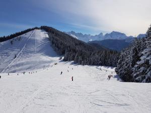 Dreiländerblick, nabij piste met sauna en tafeltennis v zime