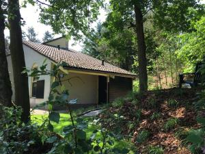 a small house in the middle of a forest at Huusje18 in Nunspeet