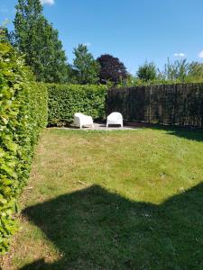 two white chairs sitting in the grass in a yard at De Friese Wouden in Suameer