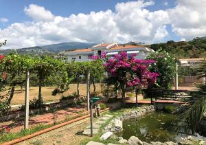a house with a pond in front of a building at Casa Vacanza Demetra in Marina di Fuscaldo