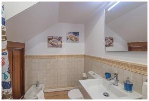 La salle de bains est pourvue d'un lavabo, de toilettes et d'un miroir. dans l'établissement La Casita del Centro, à Vega de San Mateo