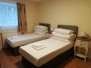 2 Betten in einem kleinen Zimmer mit Fenster in der Unterkunft Robinhill Garden in Forres