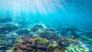 Afbeelding uit fotogalerij van Khách sạn QUỲNH ANH in Ly Son