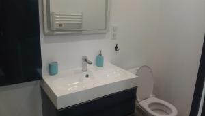 W łazience znajduje się umywalka, toaleta i lustro. w obiekcie Pigeonnier w mieście Vic-le-Comte