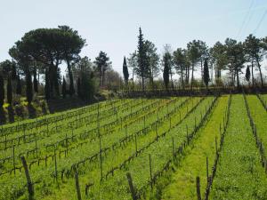 Zahrada ubytování Agriturismo Gli Archi