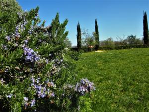 Zahrada ubytování Agriturismo Gli Archi