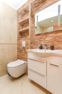 a bathroom with a toilet and a sink and a mirror at JR Luxury Apartment in Kotor
