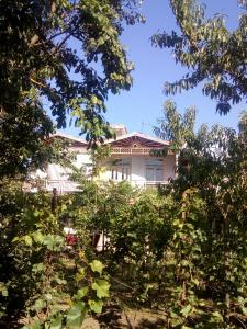 Guest House Nike外面的花园