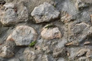 Fotografie z fotogalerie ubytování IL Fienile nella Roccia v destinaci Casole dʼElsa
